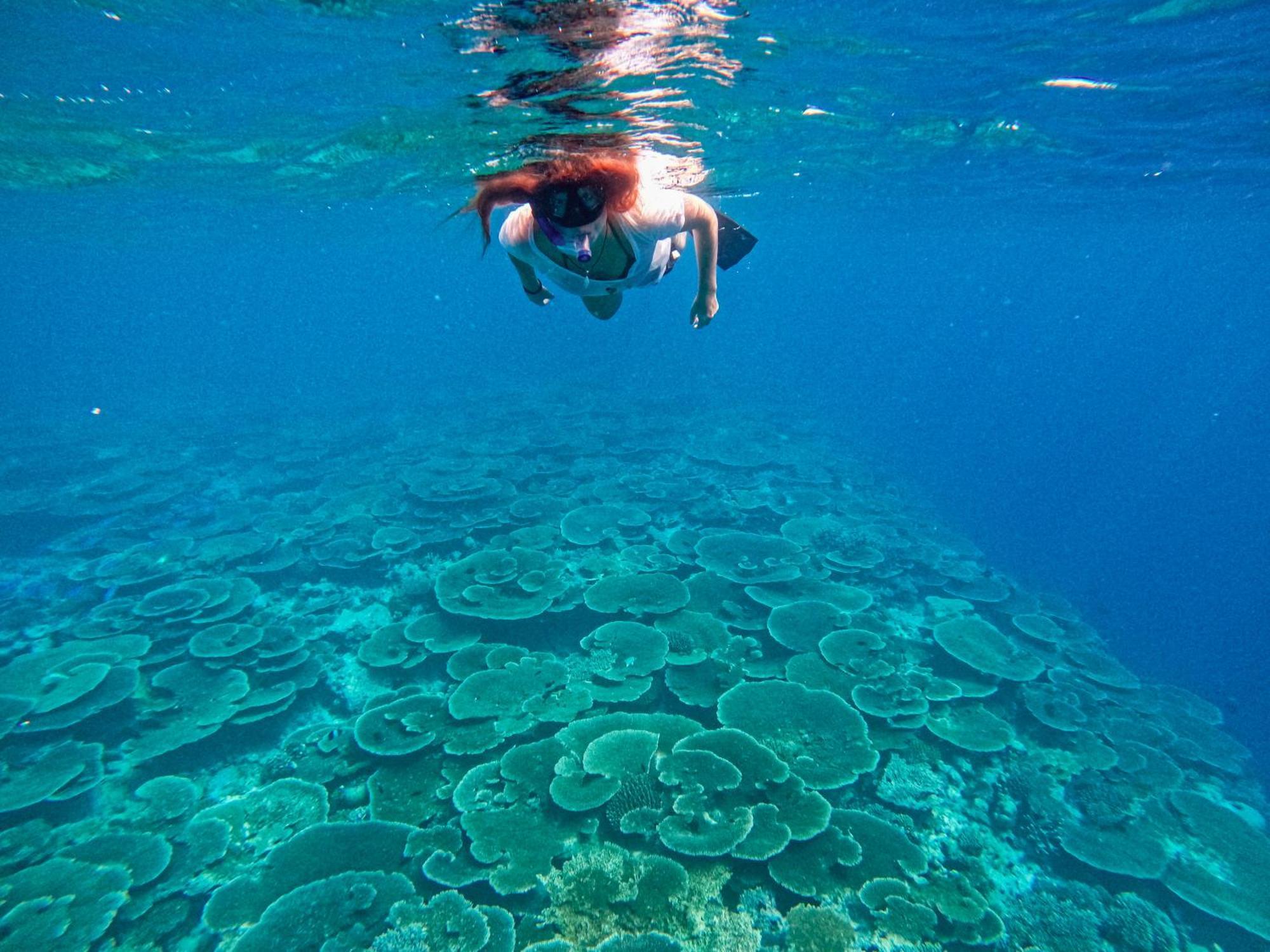 Hotel Manta Sea View Himandhoo Zewnętrze zdjęcie