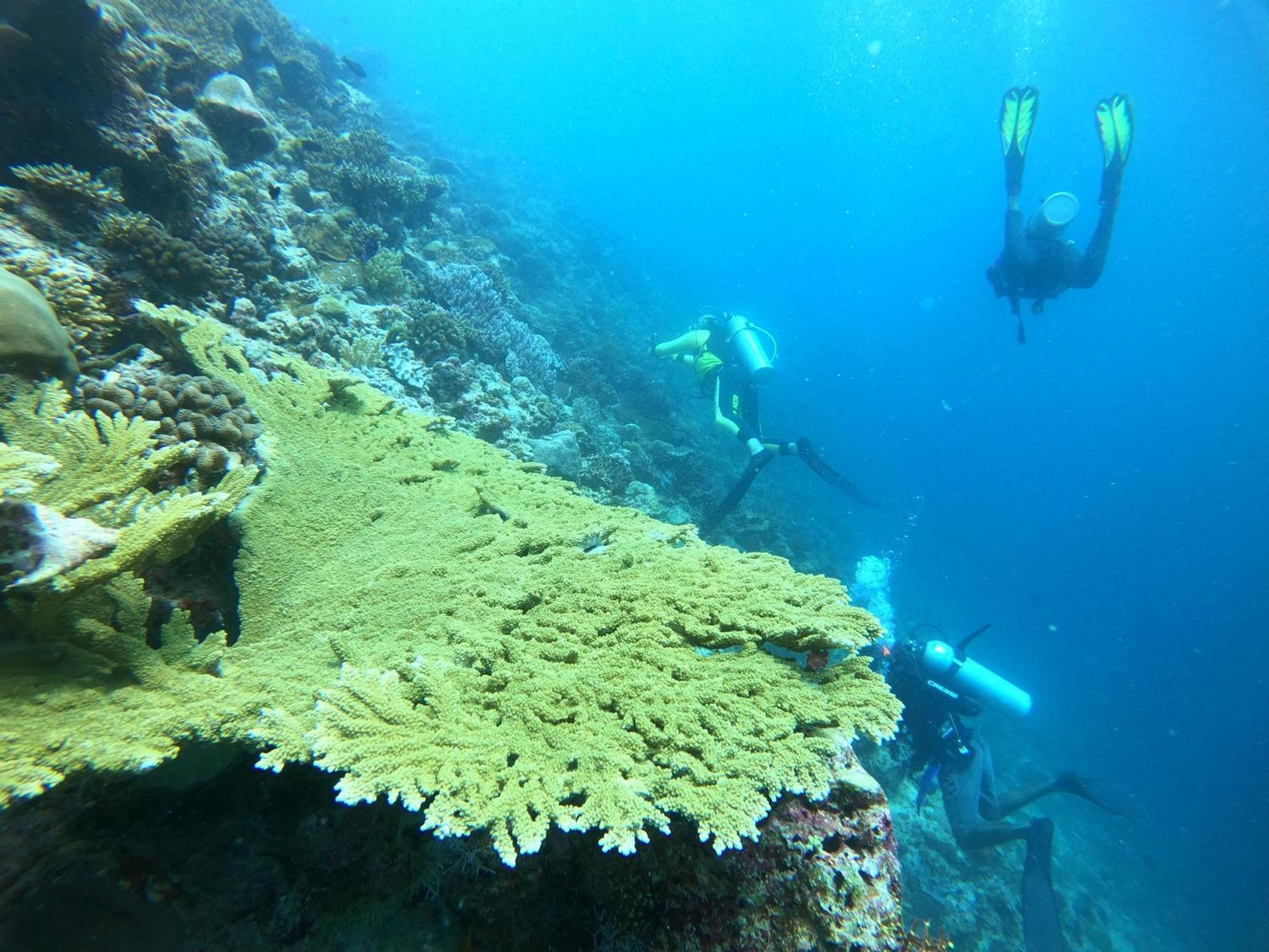 Hotel Manta Sea View Himandhoo Zewnętrze zdjęcie